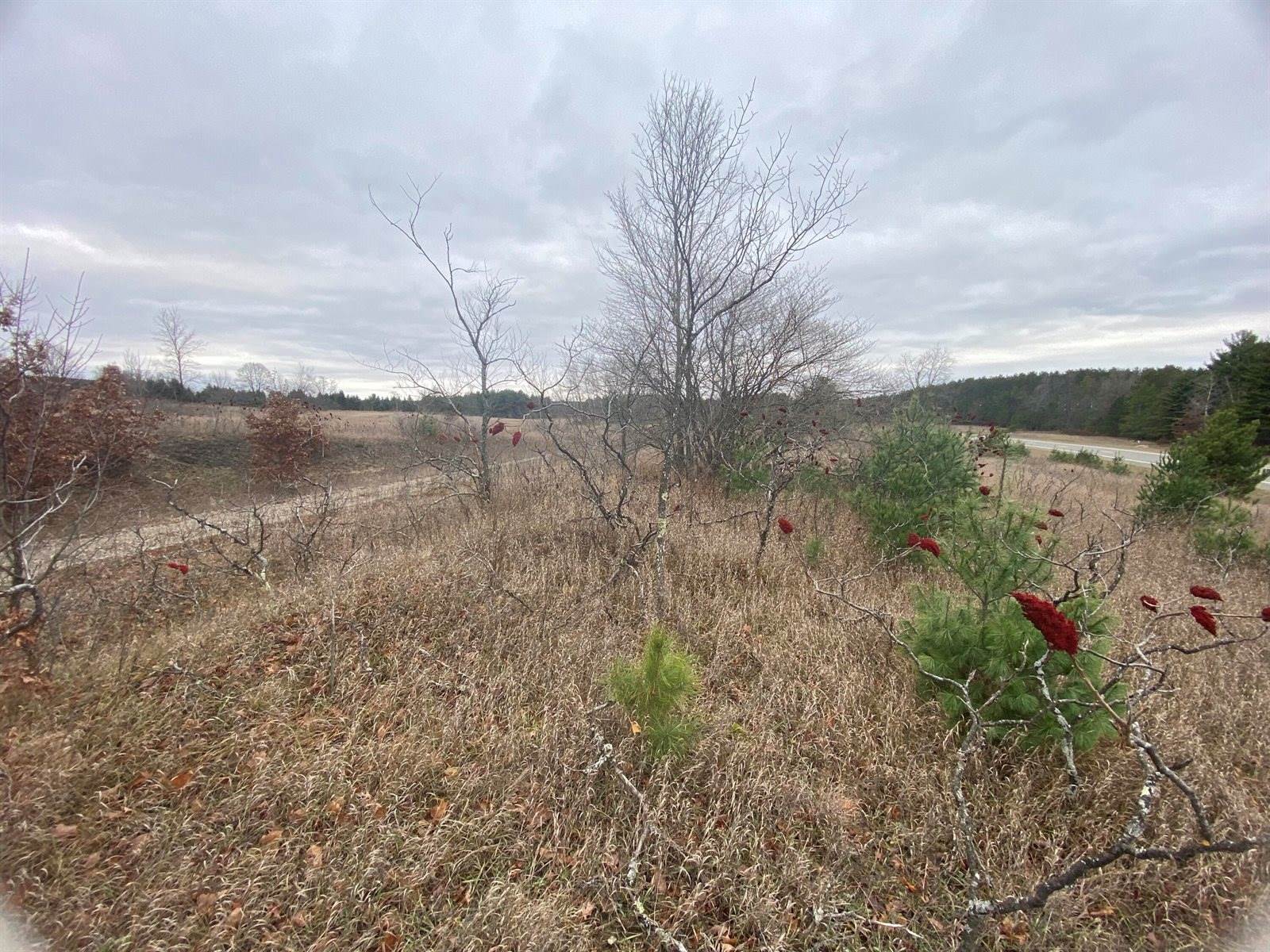 VL M-37, Mesick, MI 49668