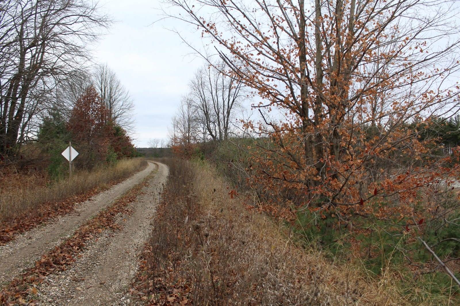 VL M-37, Mesick, MI 49668