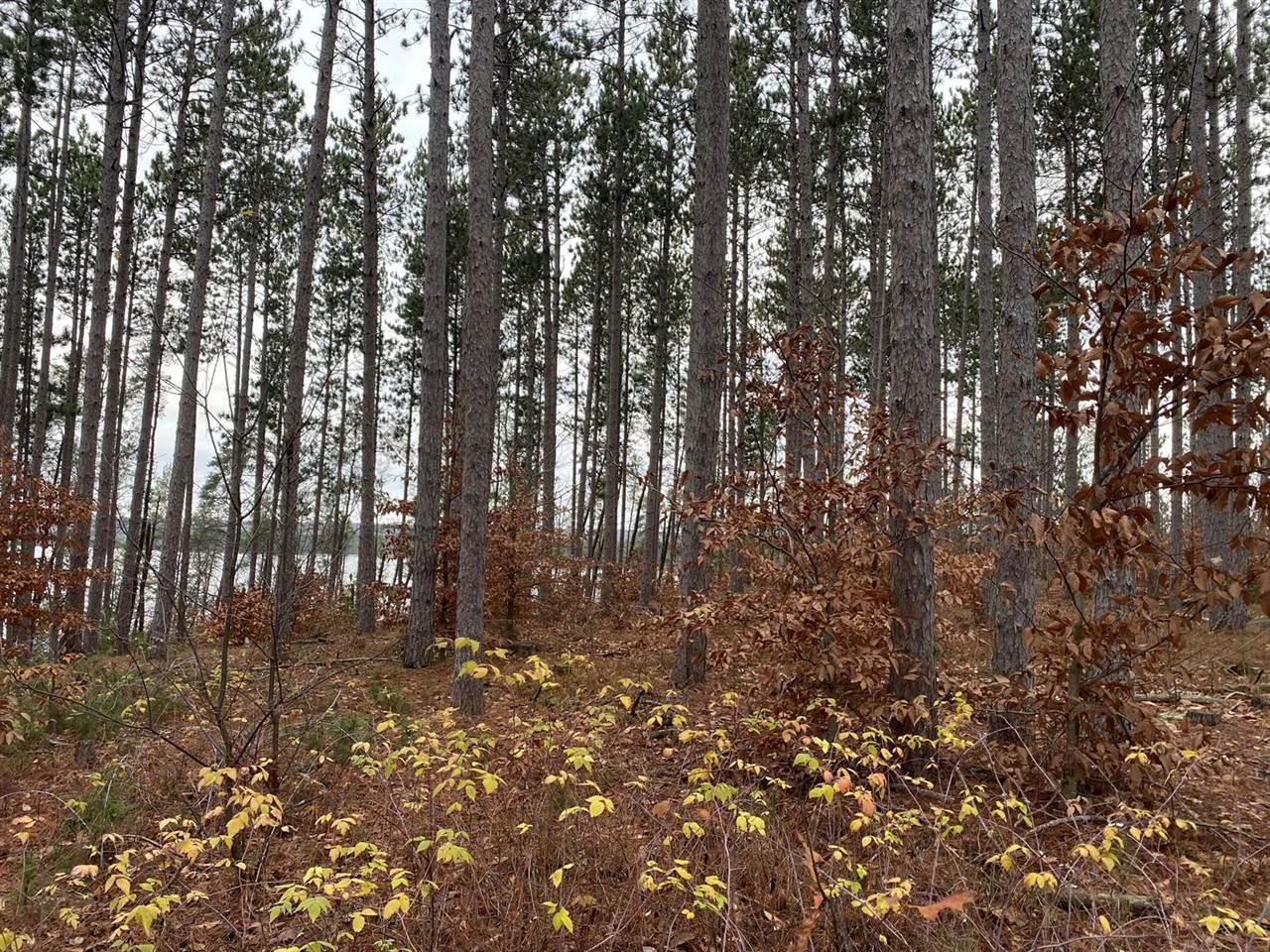 VL M-37, Mesick, MI 49668