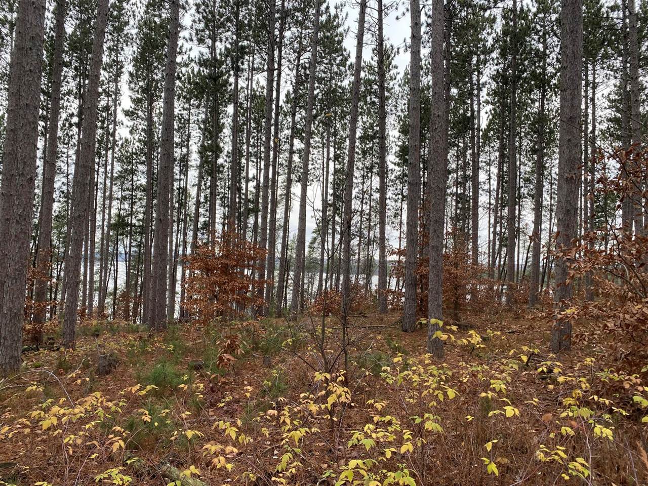 VL M-37, Mesick, MI 49668