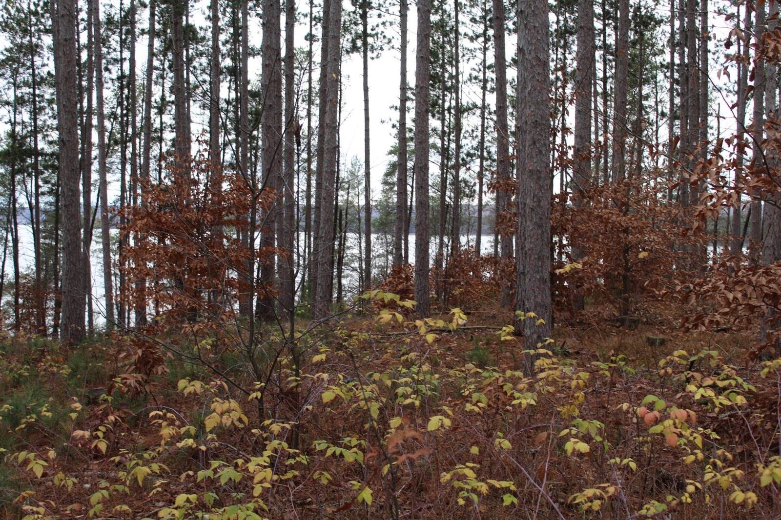 VL M-37, Mesick, MI 49668