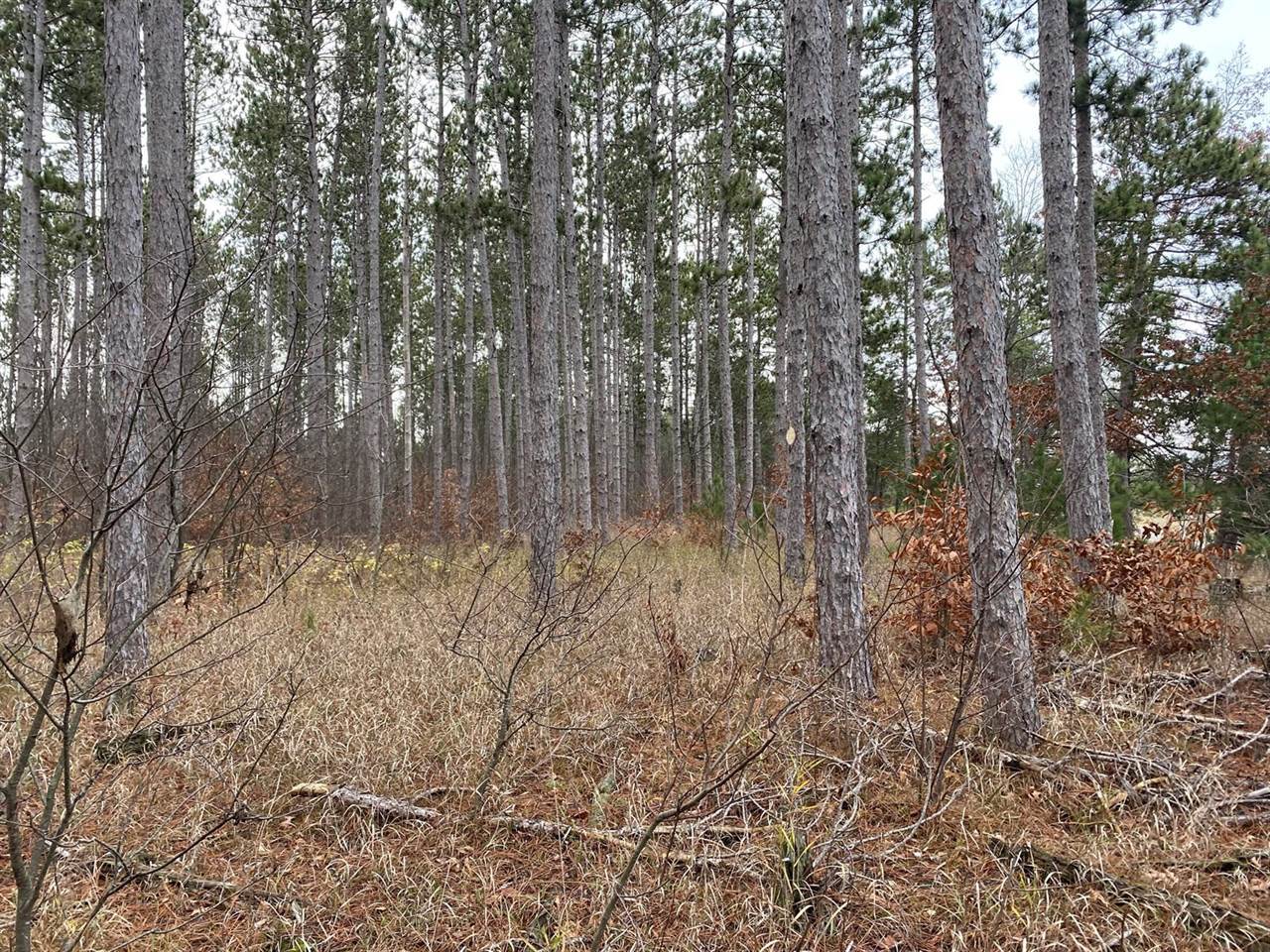 VL M-37, Mesick, MI 49668