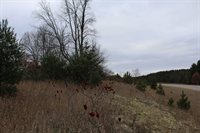 VL M-37, Mesick, MI 49668