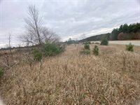 VL M-37, Mesick, MI 49668