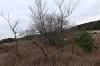 VL M-37, Mesick, MI 49668