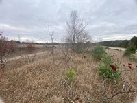 VL M-37, Mesick, MI 49668