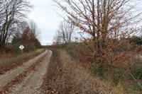 VL M-37, Mesick, MI 49668