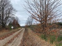 VL M-37, Mesick, MI 49668