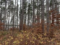 VL M-37, Mesick, MI 49668