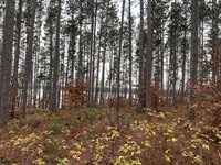 VL M-37, Mesick, MI 49668