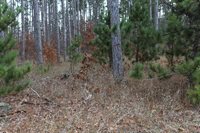 VL M-37, Mesick, MI 49668