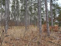 VL M-37, Mesick, MI 49668