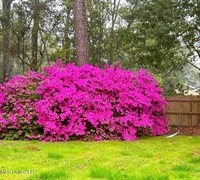 450 Whispering Pine Drive, Ocean Springs, MS 39564