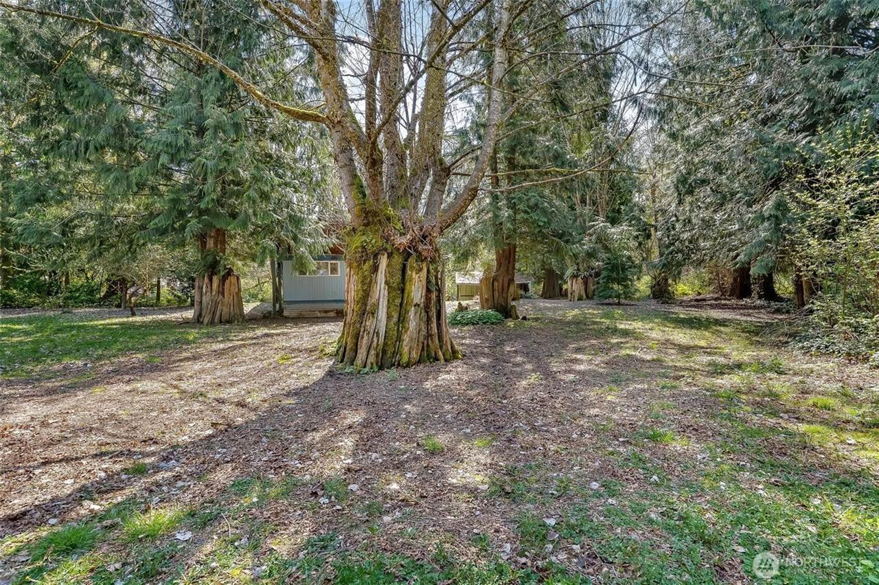 7428 Spruce Street, Concrete, WA 98237