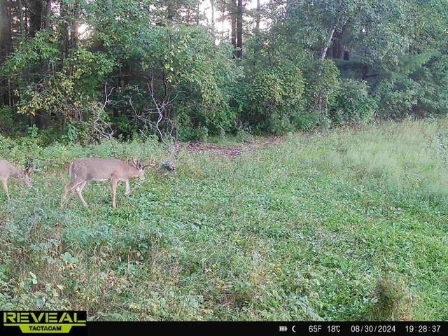 120 Acres STETTIN DRIVE, Wausau, WI 54401