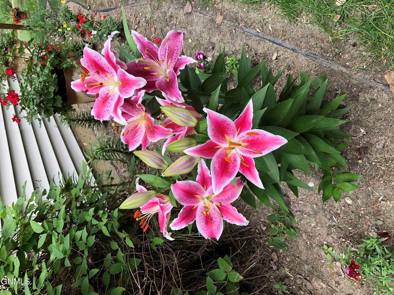 7335 Cottonwood Lane, Bismarck, ND 58503