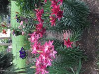 7335 Cottonwood Lane, Bismarck, ND 58503