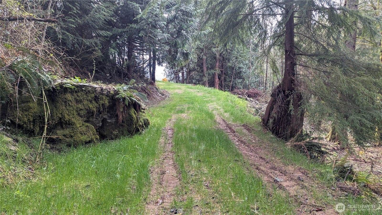 26551 Lake Cavanaugh Road, Mount Vernon, WA 98274