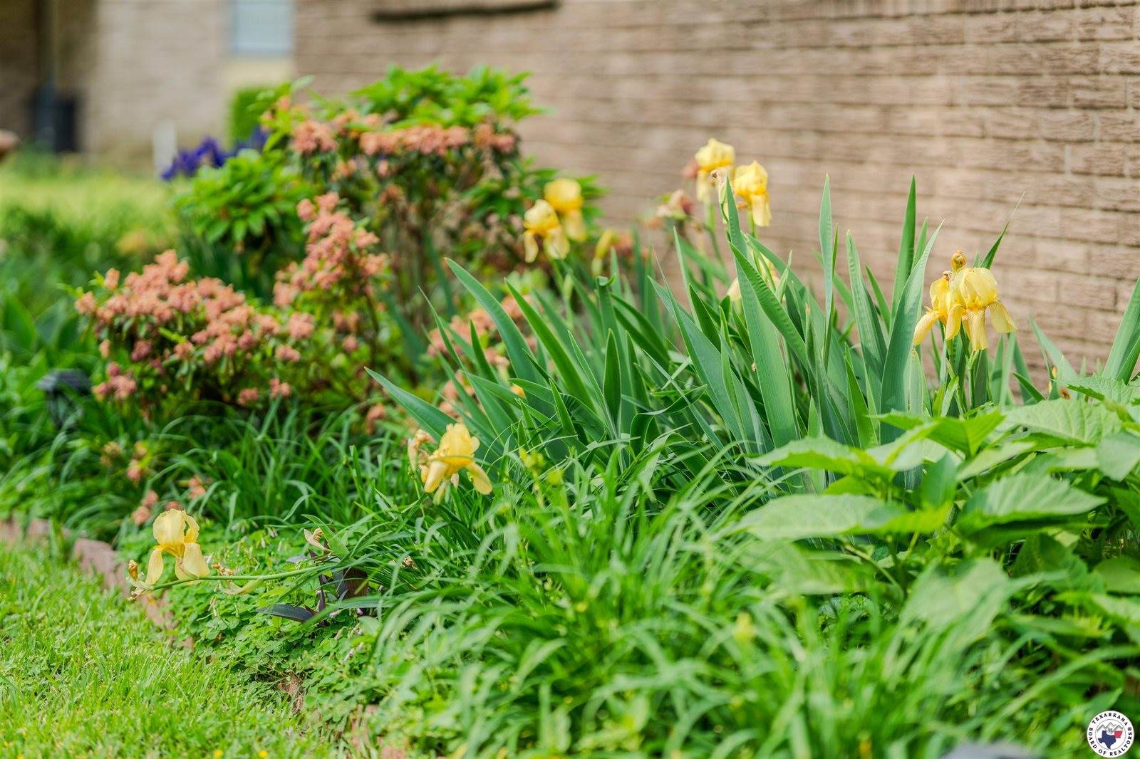 3701 Forestwood, Texarkana, AR 71864