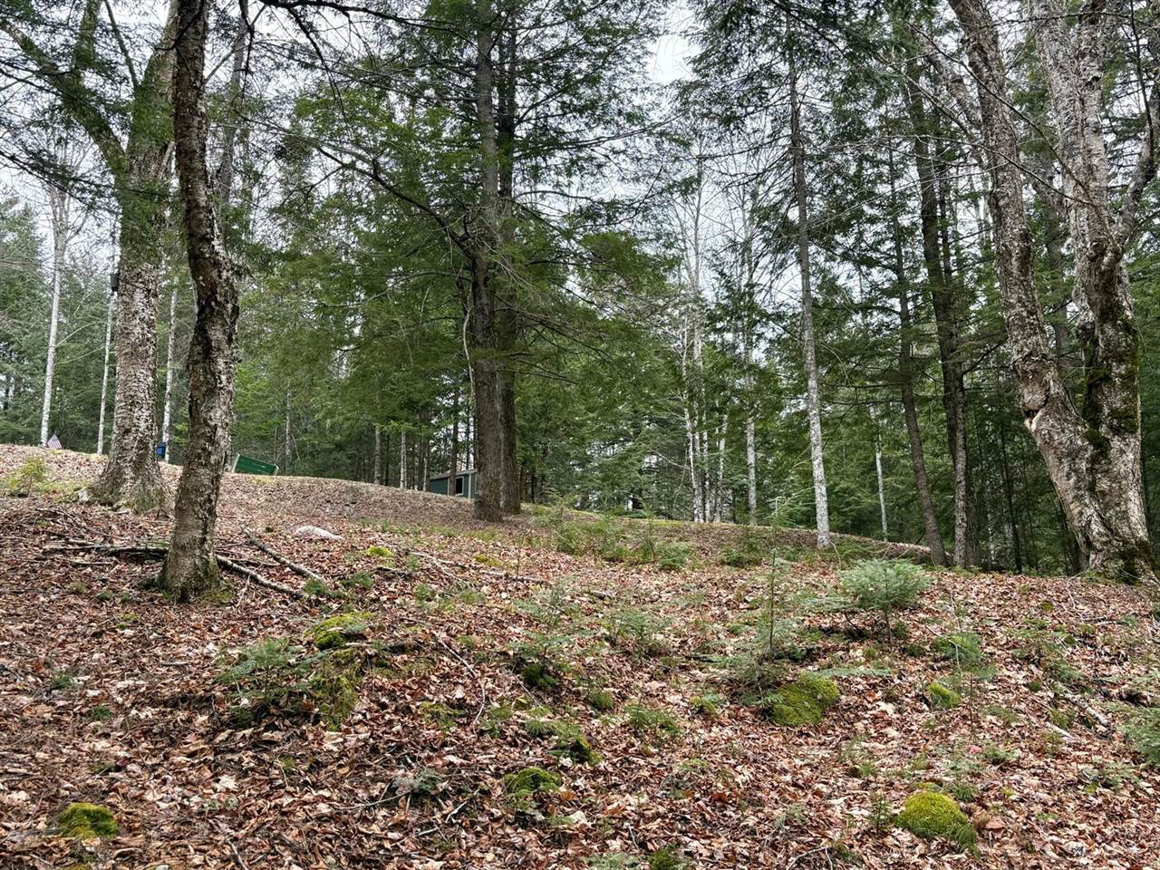 11 Cobb Road, Lincoln, ME 04493