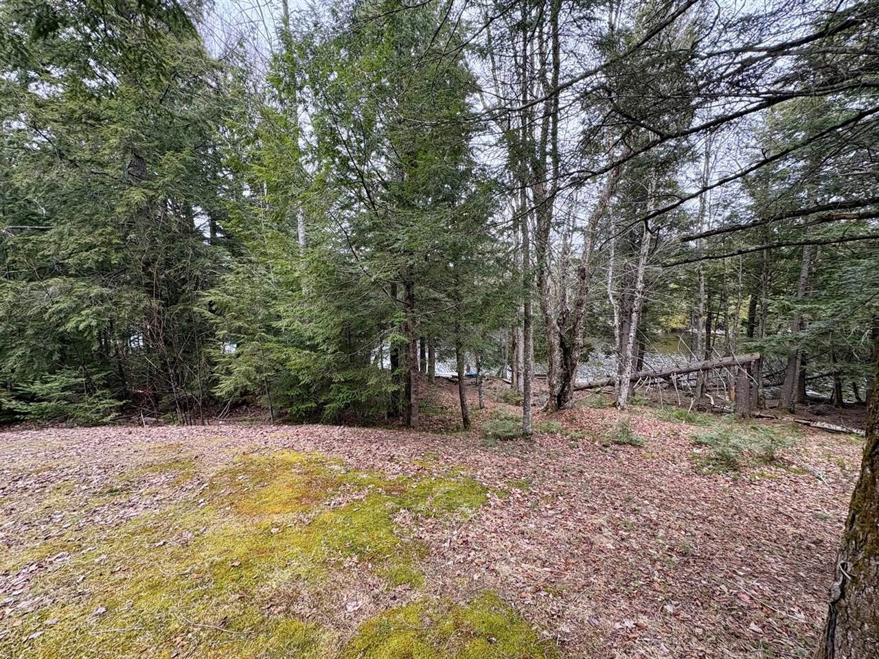 11 Cobb Road, Lincoln, ME 04493