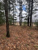 18766 Iceman Rd, Sparta, WI 54656