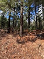 18766 Iceman Rd, Sparta, WI 54656