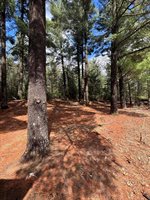 18766 Iceman Rd, Sparta, WI 54656