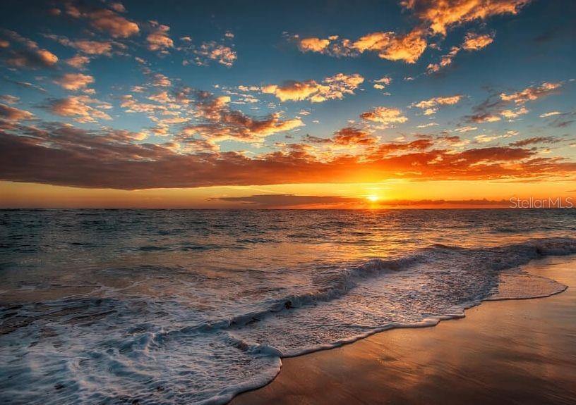 399 2ND Street, #313, Indian Rocks Beach, FL 33785