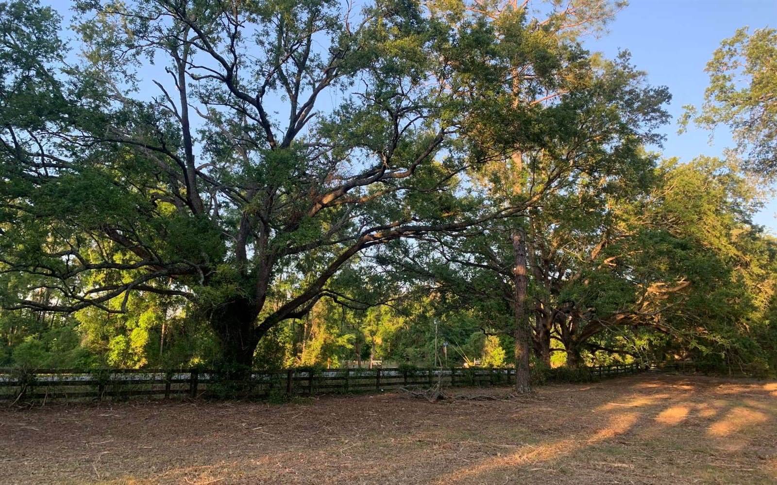 Tbd Cr 252, Live Oak, FL 32060