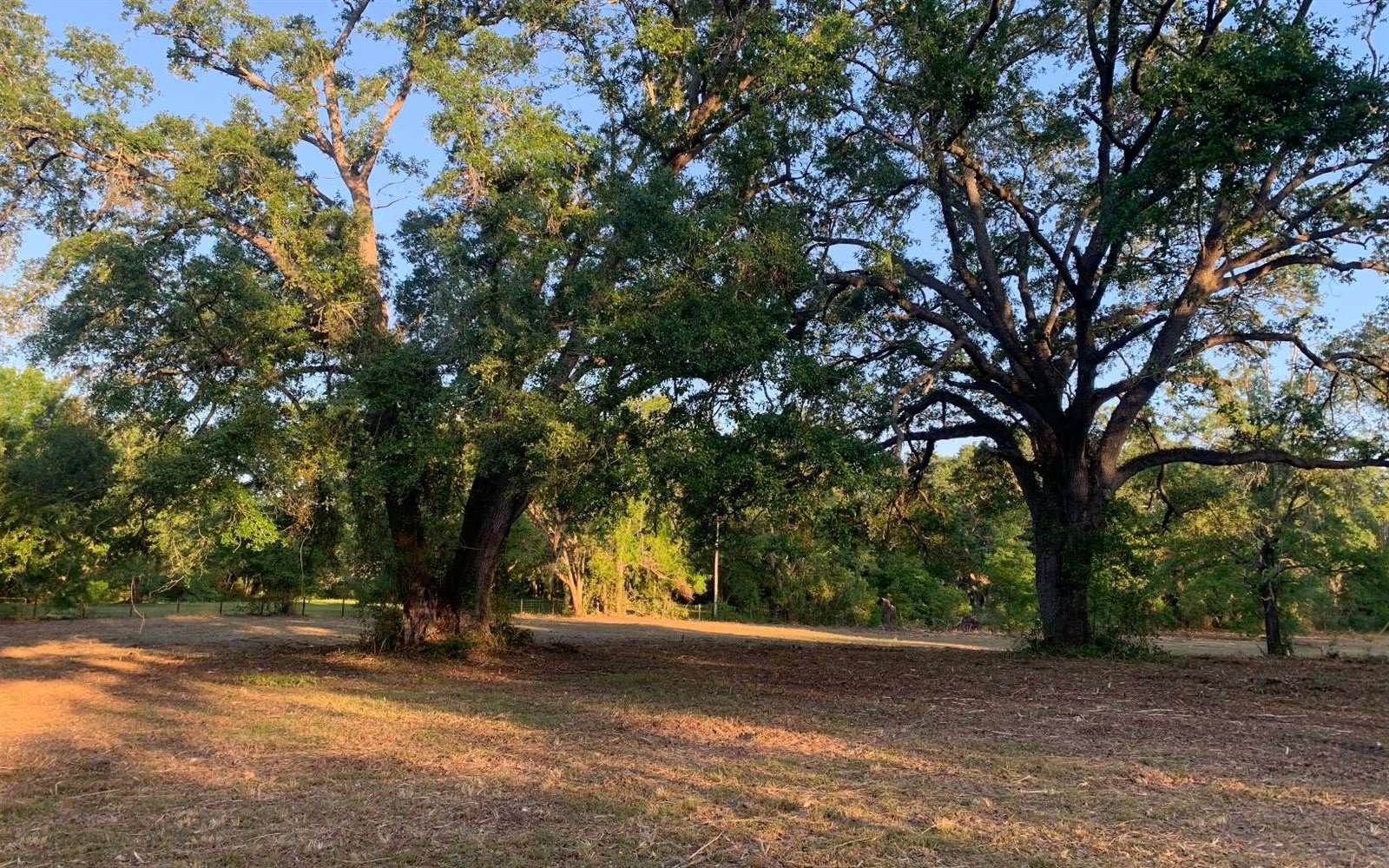 Tbd Cr 252, Live Oak, FL 32060