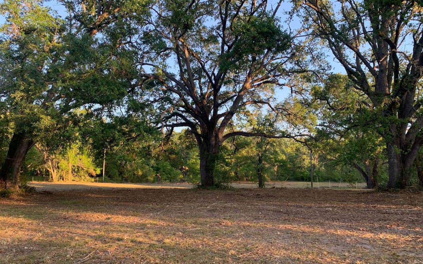 Tbd Cr 252, Live Oak, FL 32060