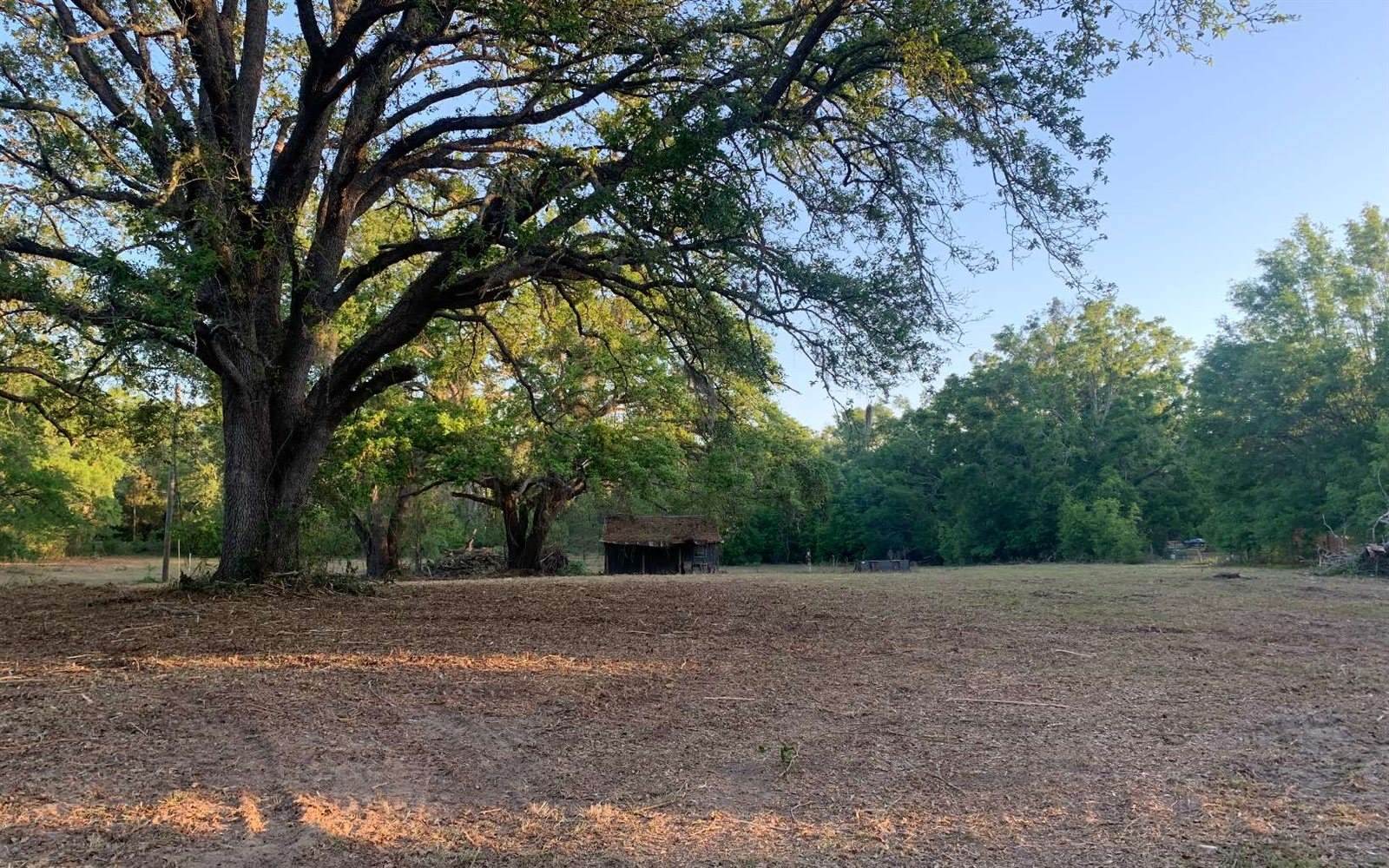 Tbd Cr 252, Live Oak, FL 32060