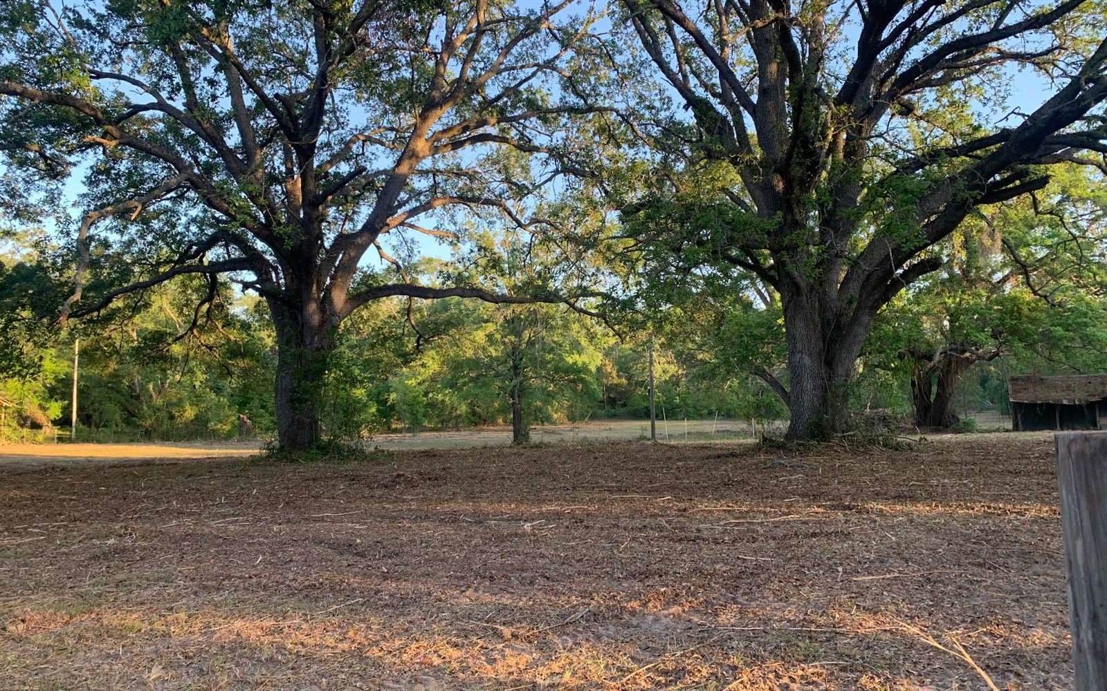 Tbd Cr 252, Live Oak, FL 32060