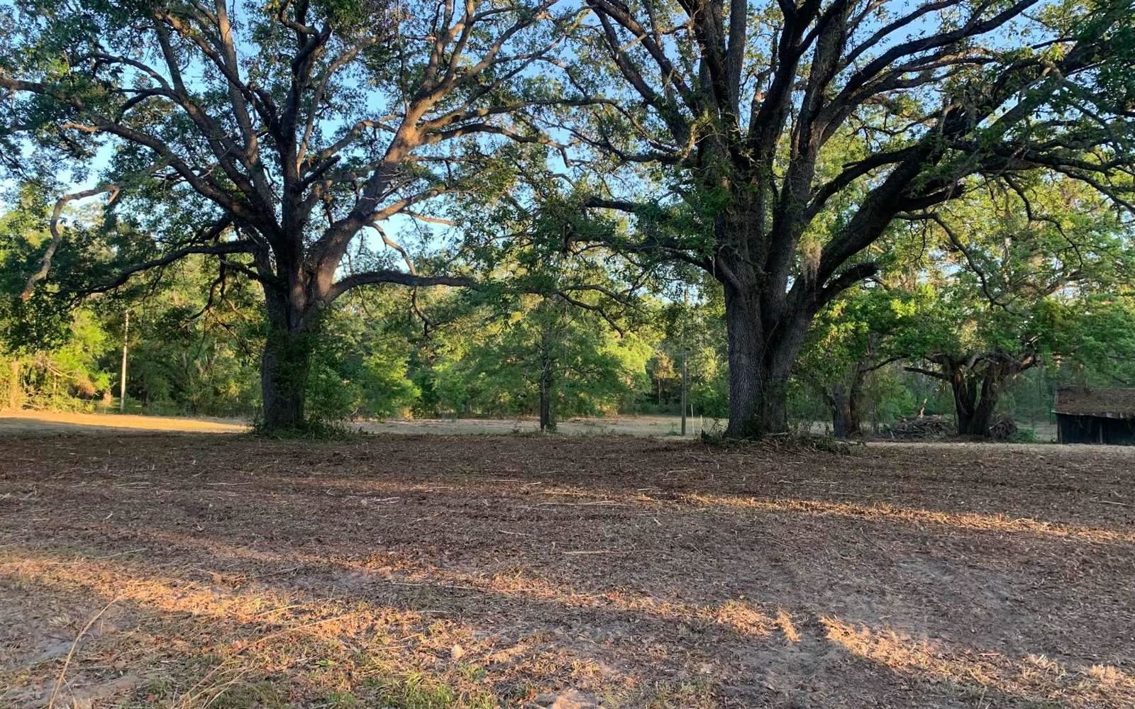 Tbd Cr 252, Live Oak, FL 32060