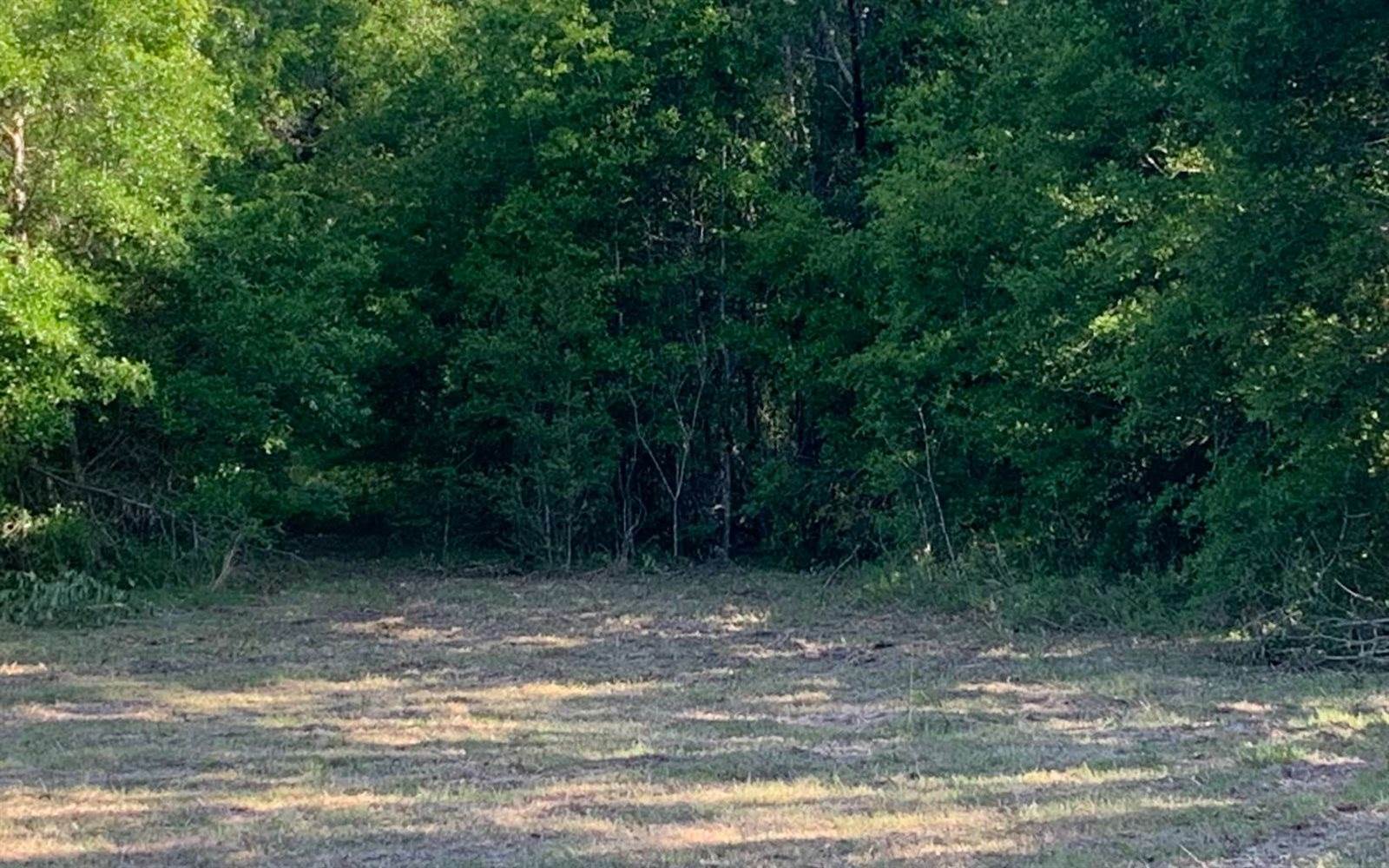 Tbd Cr 252, Live Oak, FL 32060