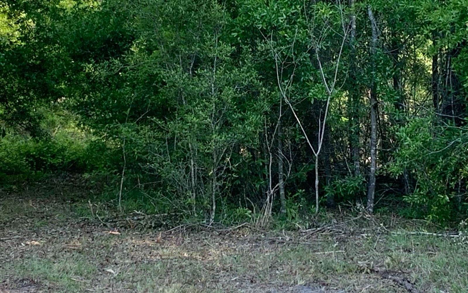 Tbd Cr 252, Live Oak, FL 32060