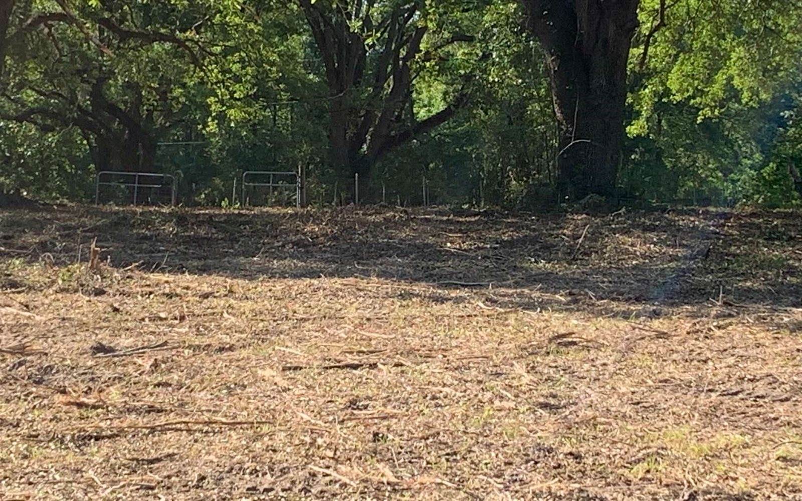 Tbd Cr 252, Live Oak, FL 32060