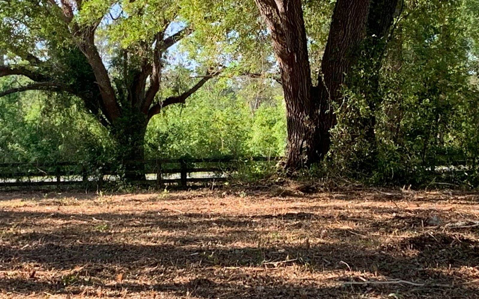 Tbd Cr 252, Live Oak, FL 32060