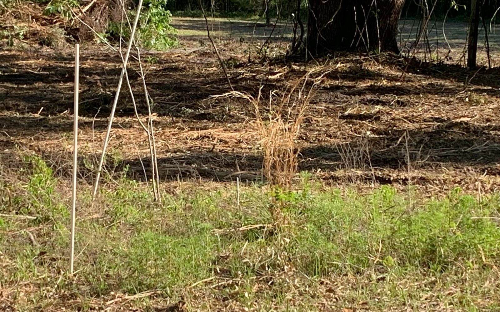 Tbd Cr 252, Live Oak, FL 32060