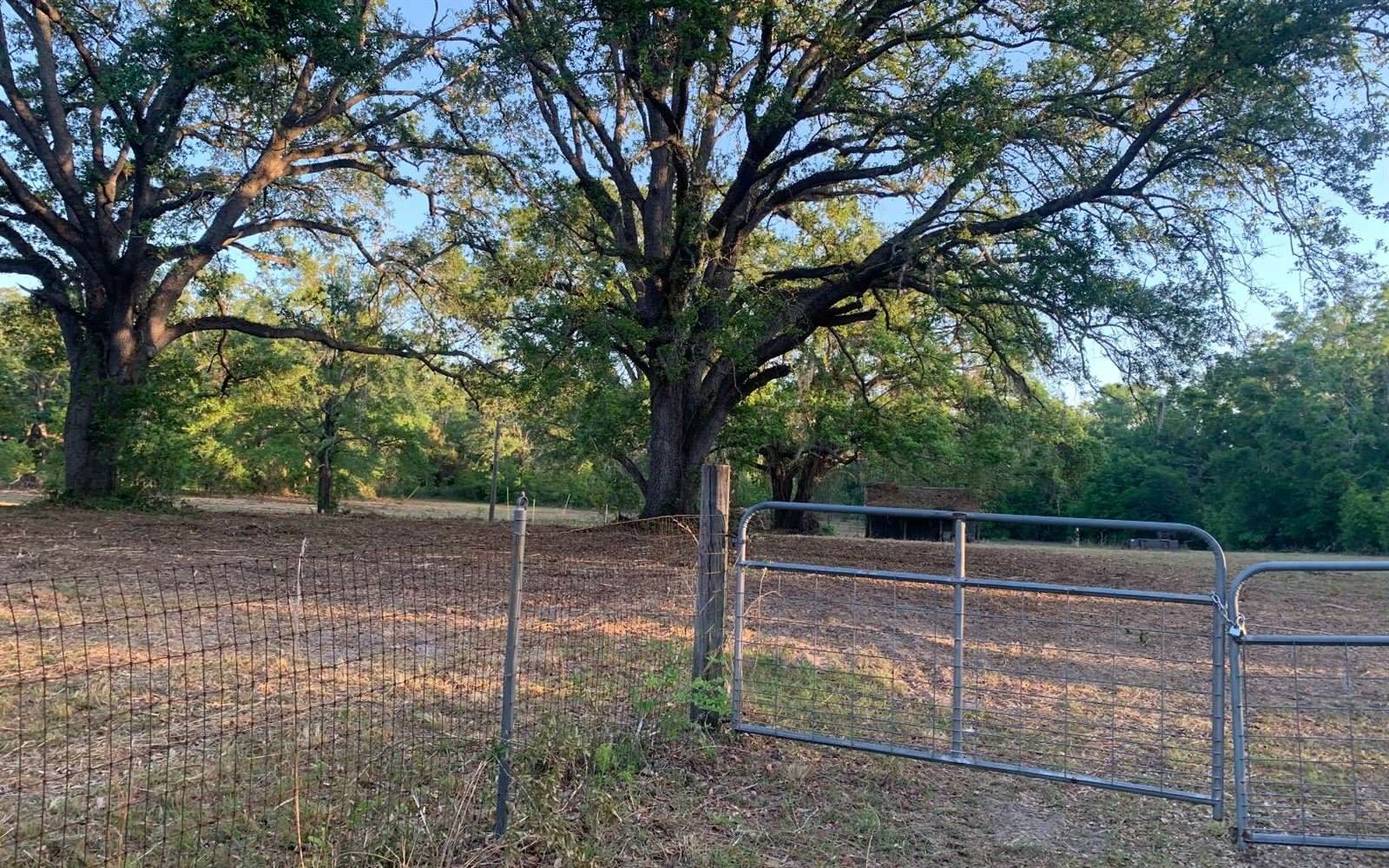 Tbd Cr 252, Live Oak, FL 32060