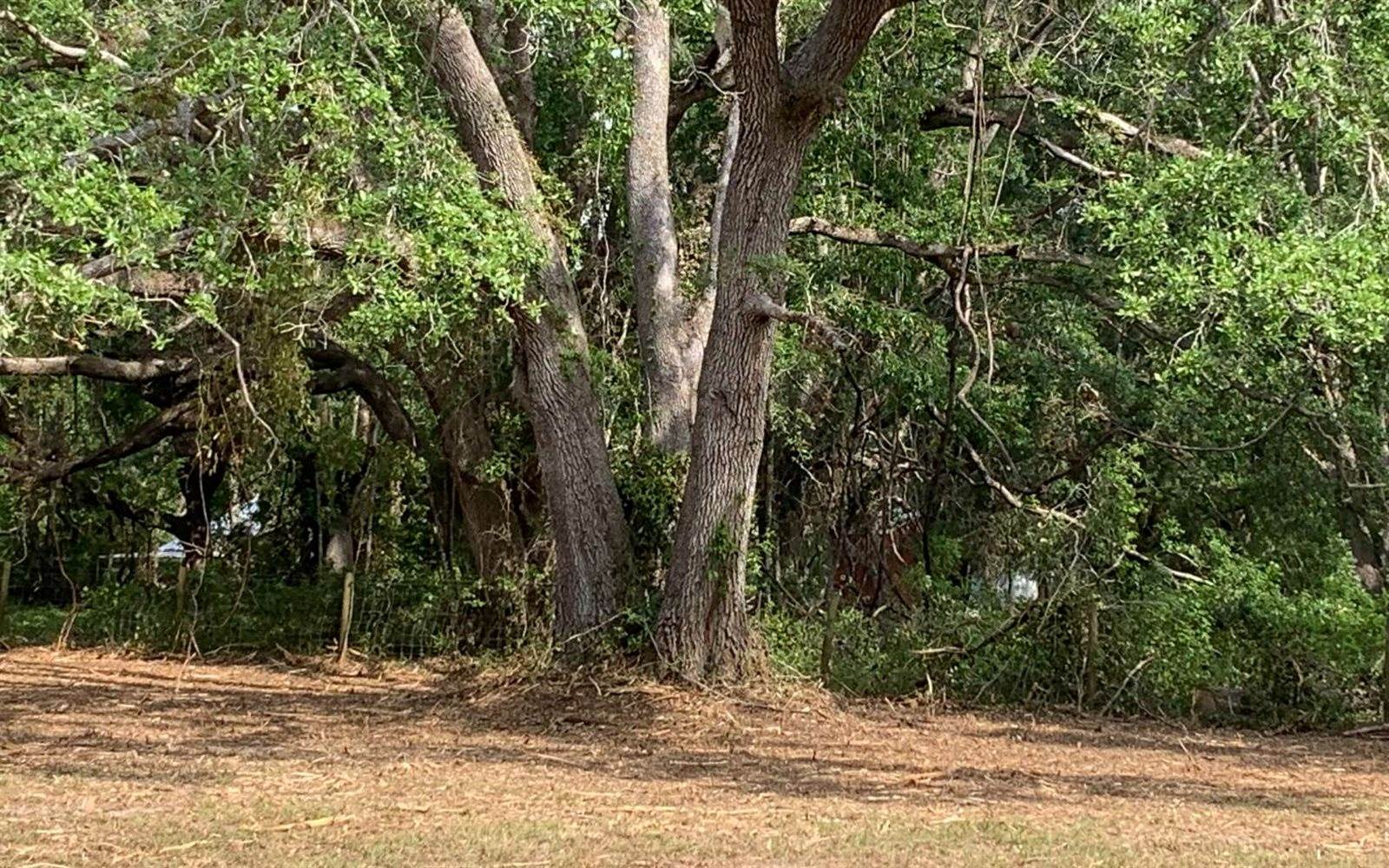 Tbd Cr 252, Live Oak, FL 32060