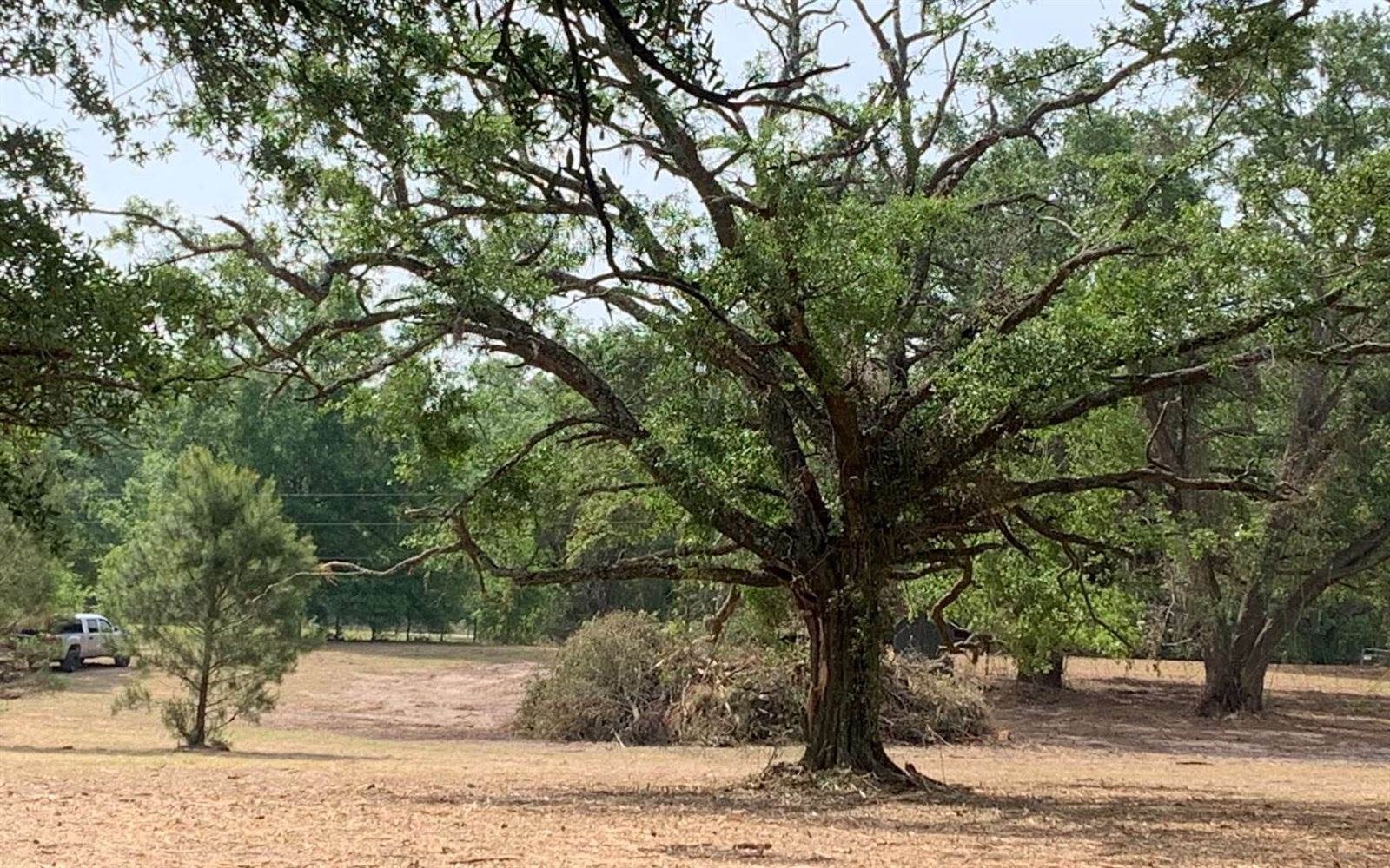 Tbd Cr 252, Live Oak, FL 32060