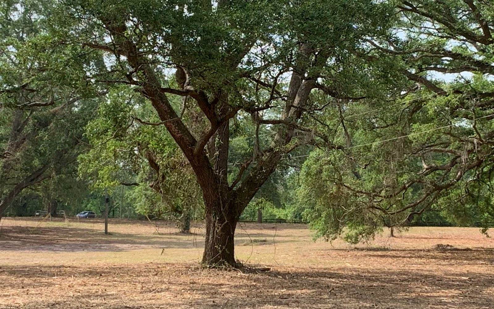 Tbd Cr 252, Live Oak, FL 32060