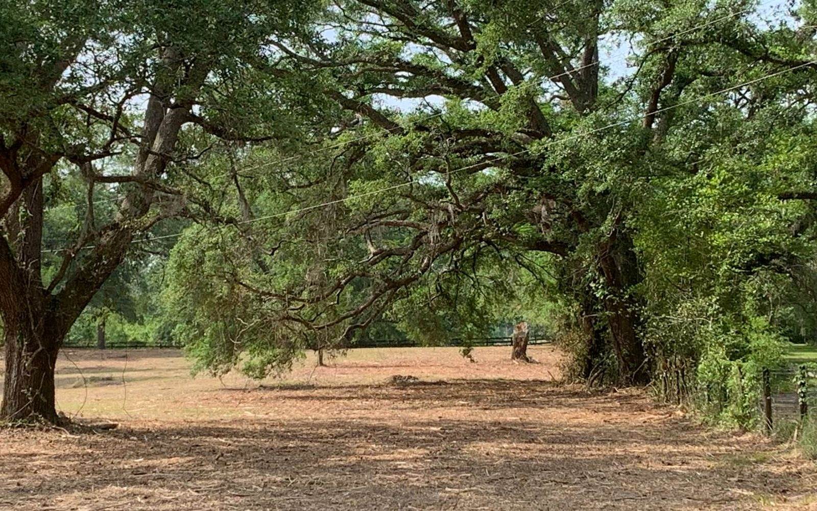 Tbd Cr 252, Live Oak, FL 32060