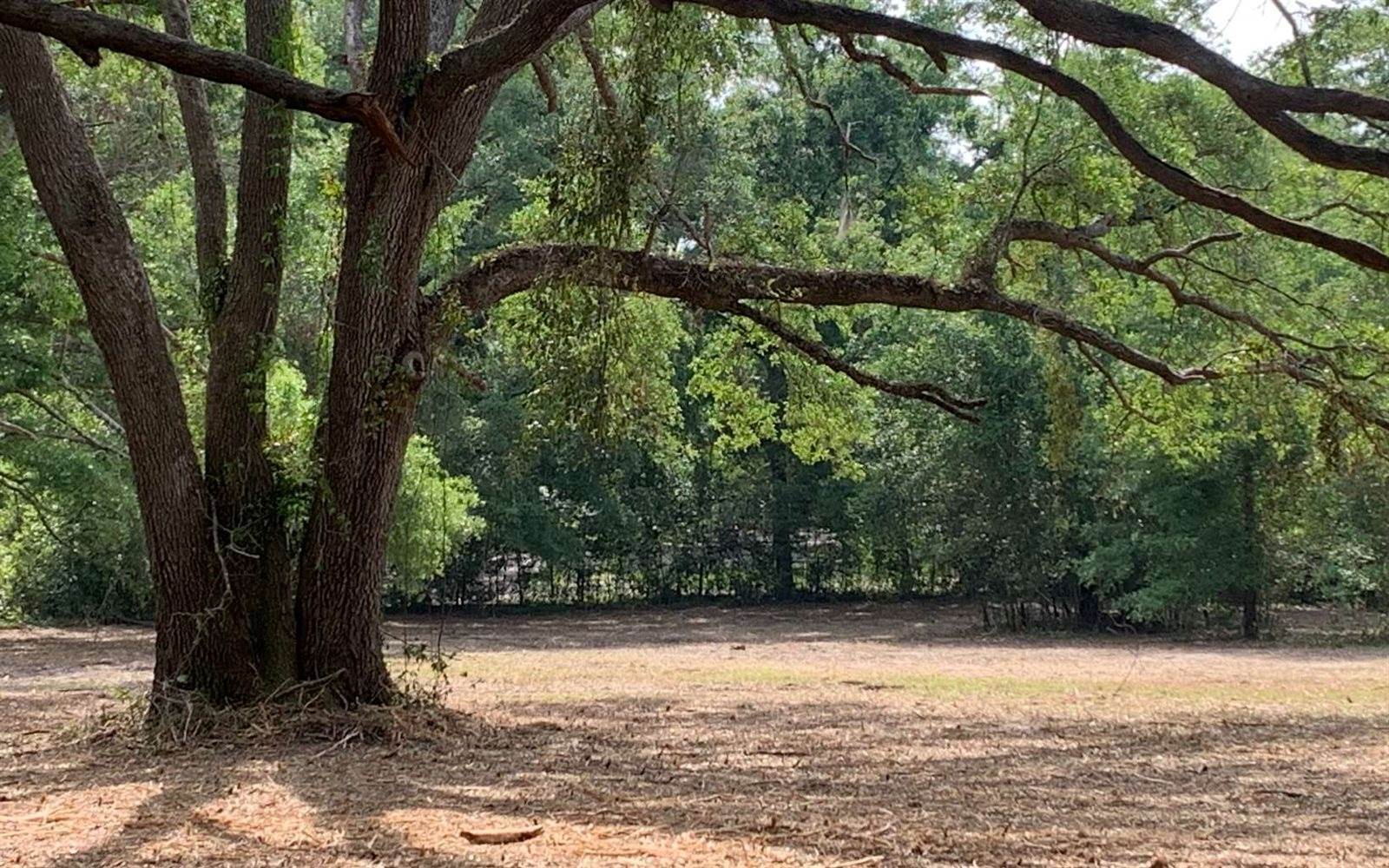 Tbd Cr 252, Live Oak, FL 32060