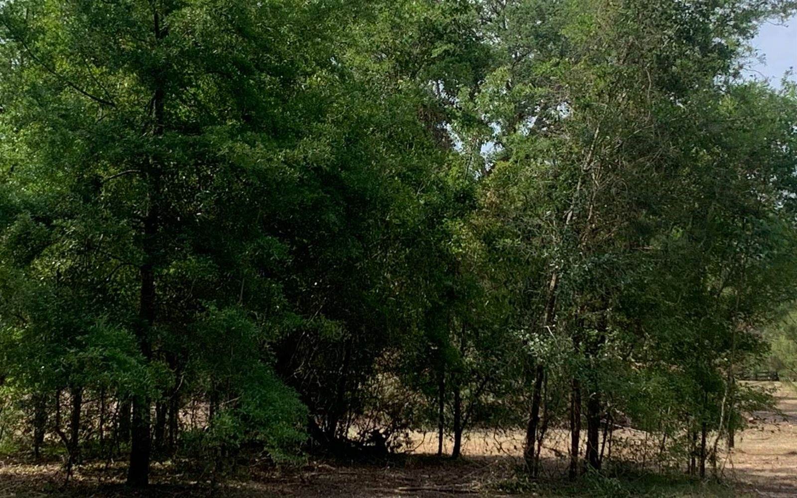 Tbd Cr 252, Live Oak, FL 32060