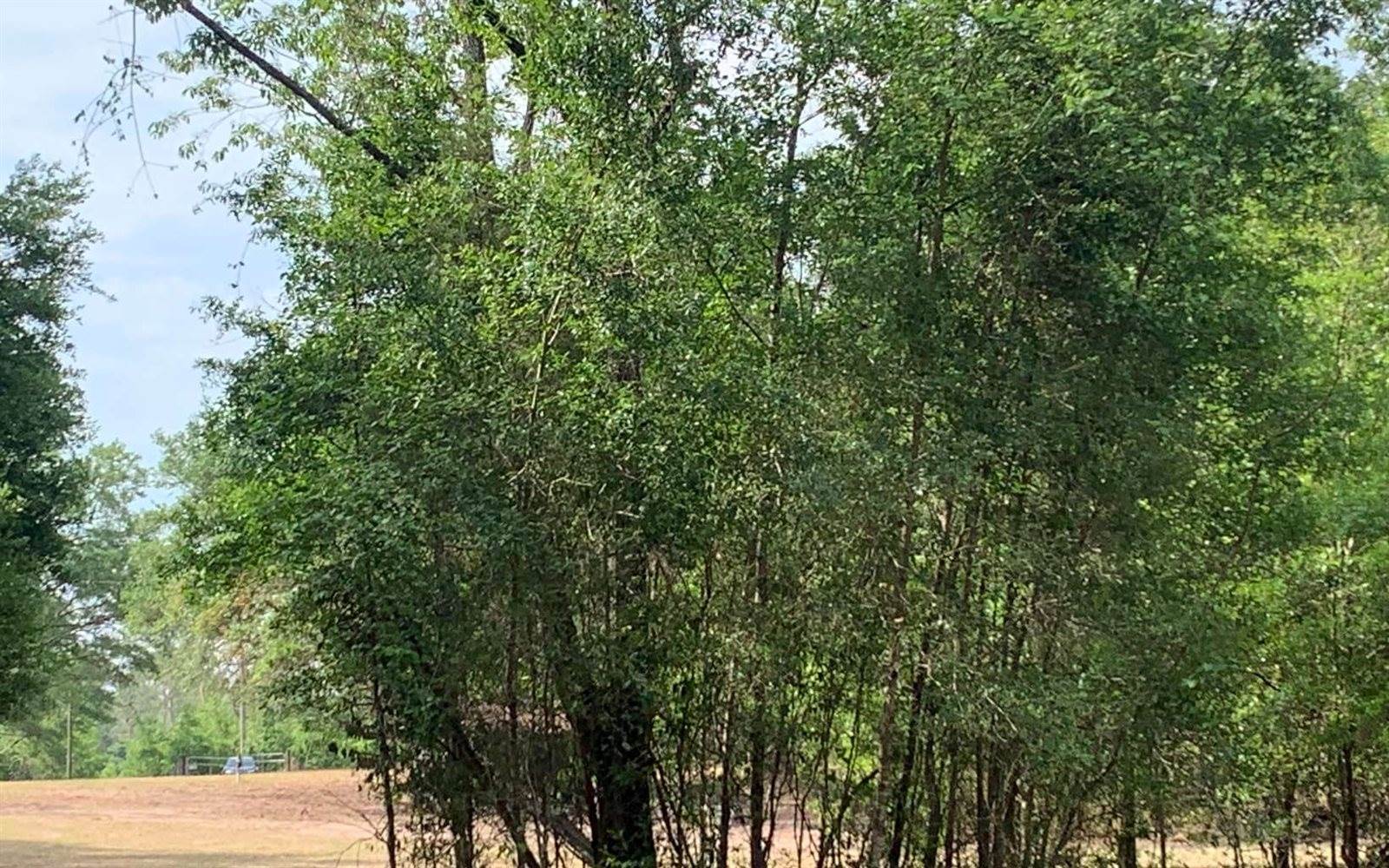 Tbd Cr 252, Live Oak, FL 32060