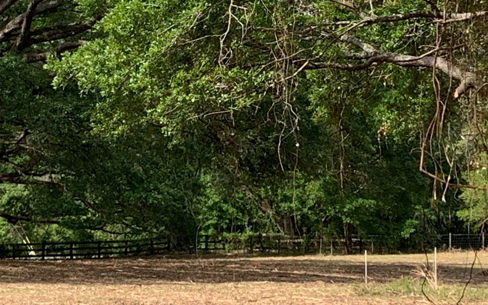 Tbd Cr 252, Live Oak, FL 32060