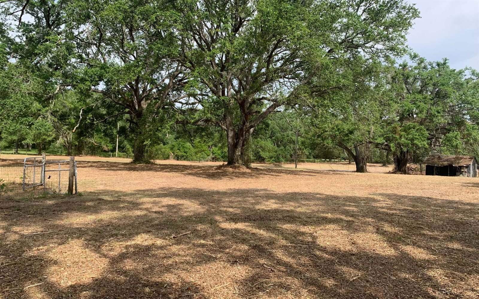 Tbd Cr 252, Live Oak, FL 32060